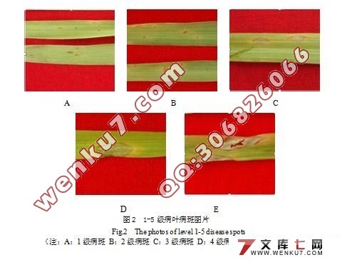 �������²�������ͻ����CD2967��ɸѡ