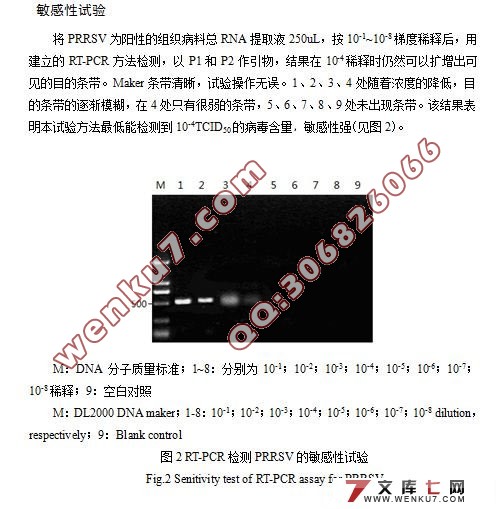 ����������RT-PCR���(